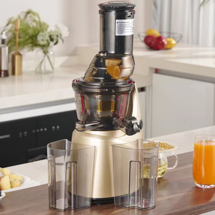 เครื่องสกัดน้ำผลไม้แบบเคี้ยวบด - Electric Slow Juicer Cold Press บทวิจารณ์และราคา