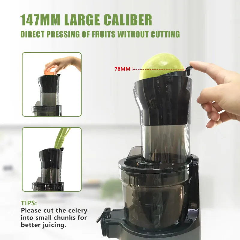 เครื่องคั้นน้ำผลไม้ส้มยี่ห้อ F - Electric Slow Juicer Cold Press บทวิจารณ์และราคา
