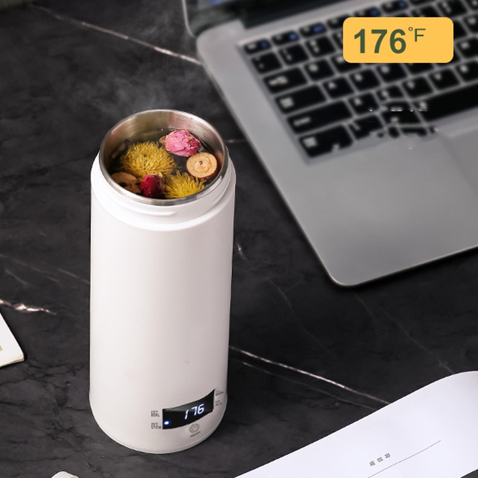 มินิแบบพกพาไฟฟ้ากาต้มน้ํา 450m - Electric Kettle Temperature Control บทวิจารณ์และราคา